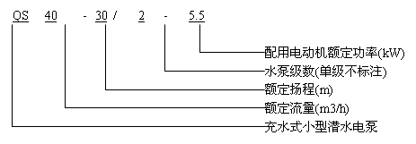 QS型充水式潛水電泵型號(hào)說明