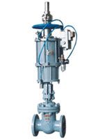 Z6S40(1)Y����l�y