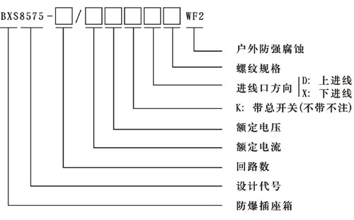BXS8575系列防爆防腐電源插座箱(ⅡC)型號說明