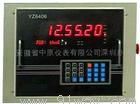 YZ6406定值控制儀