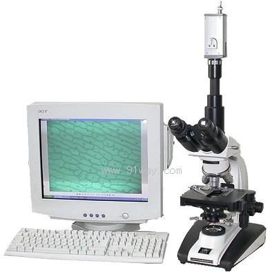 XSP-44X9�����@΢�R