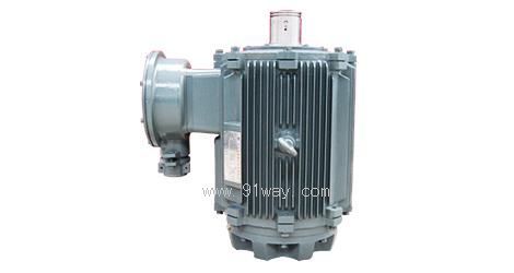 TYPL����׃�l�ݗU�Ì���늙C(j��)