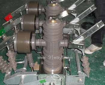 ZWB-12固封極柱式高壓雙電源切換裝置