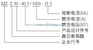 MZZ30-40.5/1600-31.5戶外高壓真空斷路器型號(hào)說明