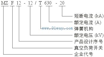 MZF12-12/T630-20戶外柱上高壓真空負荷開關型號說明