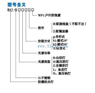 BAT51-G不銹鋼防爆投光燈型號說明
