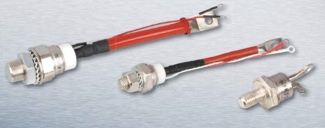 SSKTϵ�г����;��l��