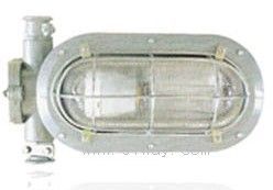 DGC35/127N(B)煤礦用隔爆型支架燈