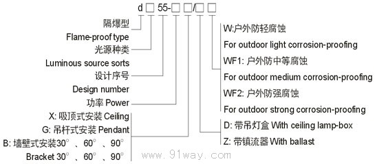 d□55隔爆型防爆燈(ⅡB、ⅡC)選型說明
