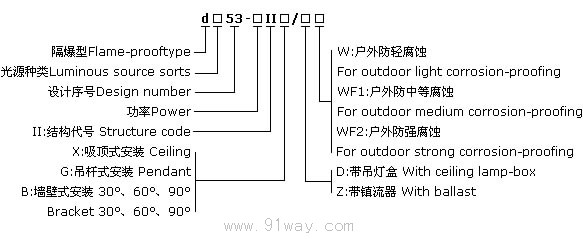 d□53-Ⅱ隔爆型防爆燈(ⅡB、ⅡC)型號說明