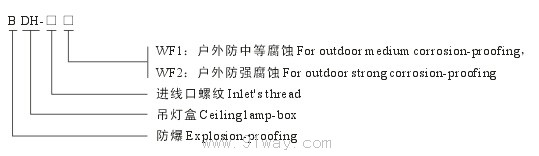 BDH隔爆型吊燈盒(ⅡB、ⅡC)型號說明