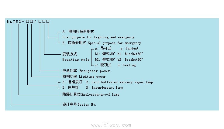 BAJ52-系列防爆應急照明兩用燈(ⅡB、ⅡC)選型說明