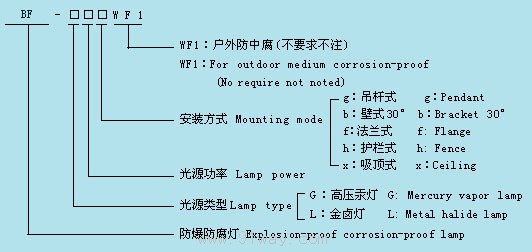 BF-系列增安型防爆防腐燈(e)選型說明