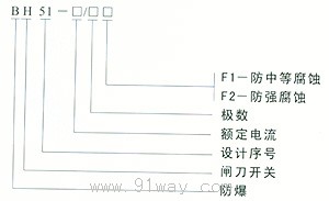 BH51系列防爆閘刀開關(IIB、IIC級)型號說明