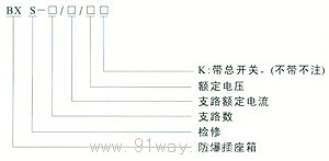 BXS系列防爆檢修電源插座箱(IIB、IIC級)型號說明