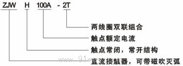 ZJWH100A-2T直流接觸器型號說明