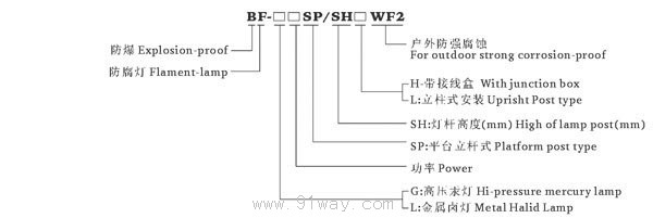BF-SP平臺立桿式防爆燈(增安型e)選型說明