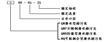QWPB型不銹鋼隔爆潛水泵型號說明